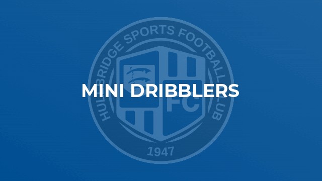 Mini Dribblers
