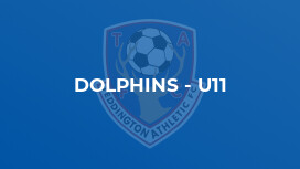 Dolphins - U11