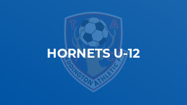 Hornets U-12