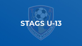 Stags U-13