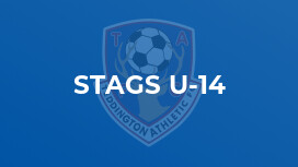 Stags U-14