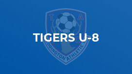 Tigers U-8