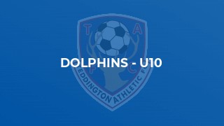 Dolphins - U10