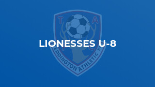 Lionesses U-8