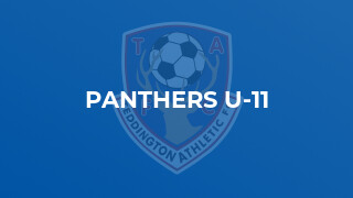 Panthers U-11