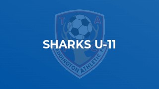 Sharks U-11