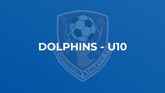 Dolphins - U10
