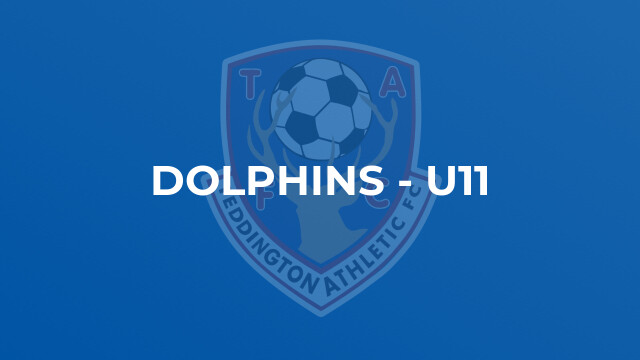 Dolphins - U11