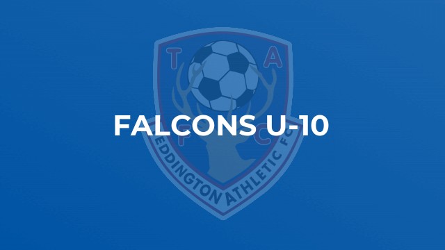 Falcons U-10