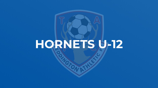 Hornets U-12