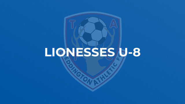 Lionesses U-8