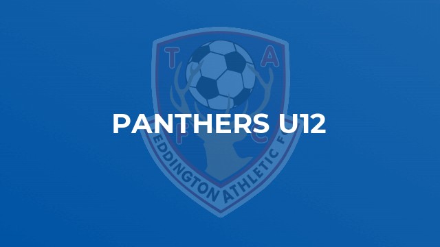 Panthers U12
