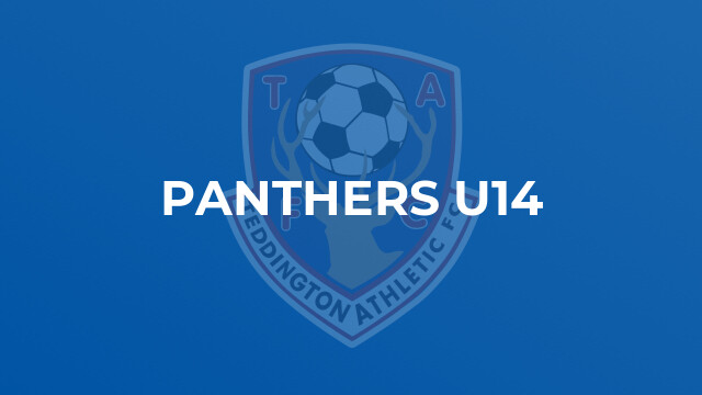 Panthers U14