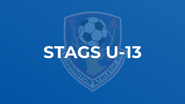 Stags U-13