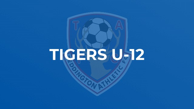 Tigers U-12