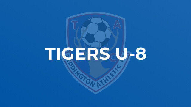 Tigers U-8