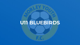 U11 Bluebirds