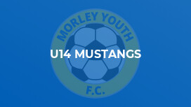 U14 Mustangs