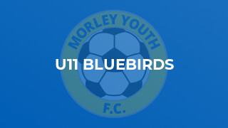 U11 Bluebirds