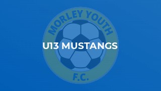 U13 Mustangs