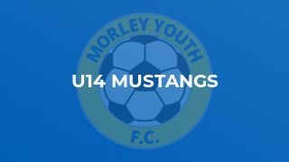 U14 Mustangs