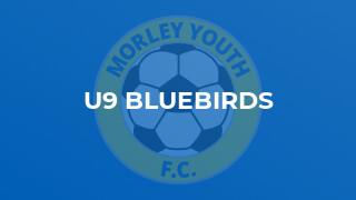 U9 Bluebirds