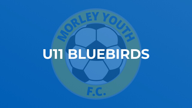 U11 Bluebirds