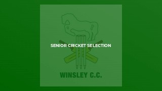 SENIOR CRICKET SELECTION