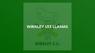 Winsley u13 Llamas