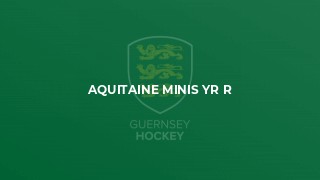 Aquitaine Minis Yr R