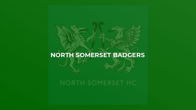 North Somerset Badgers