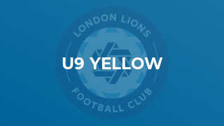 U9 YELLOW