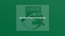 U7 GREAT WHITE SHARKS