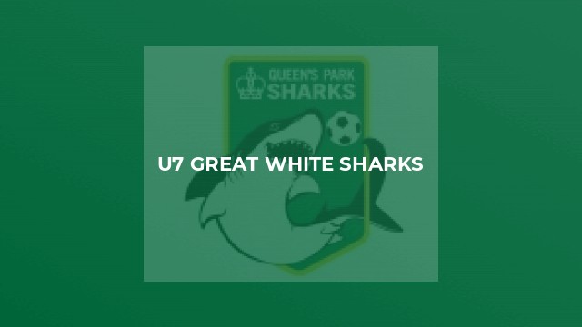 U7 GREAT WHITE SHARKS