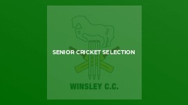 SENIOR CRICKET SELECTION