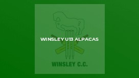 Winsley u13 Alpacas