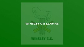 Winsley u13 Llamas