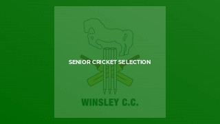 SENIOR CRICKET SELECTION