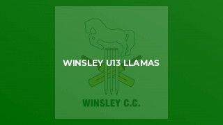 Winsley u13 Llamas