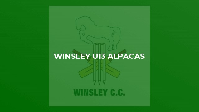 Winsley u13 Alpacas