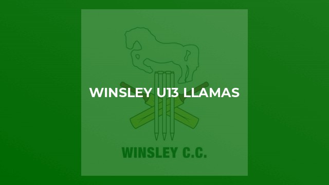 Winsley u13 Llamas