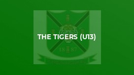 The Tigers (U13)