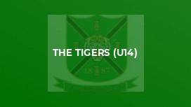 The Tigers (U14)