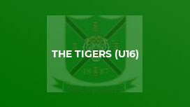 The Tigers (u16)
