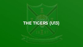 The Tigers (U13)