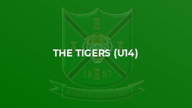 The Tigers (U14)