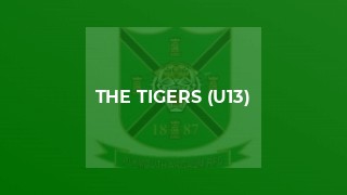 The Tigers (U13)