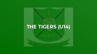 The Tigers (U14)