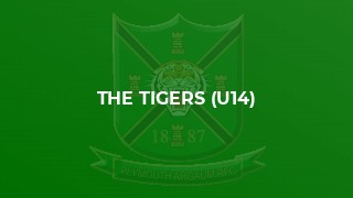 The Tigers (U14)