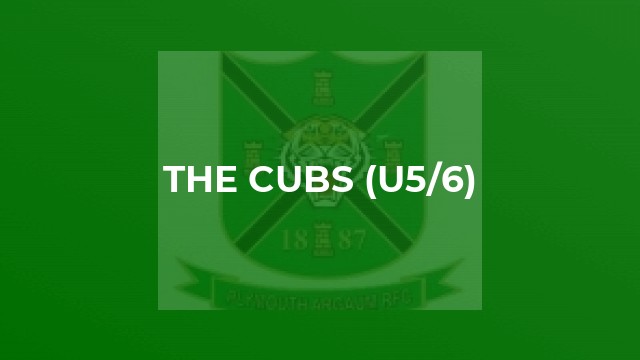 The Cubs (u5/6)